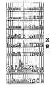 Fig. 06 - Vectors for directional cloning