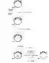 Fig. 14 - Vectors for directional cloning