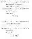 Fig. 22 - Vectors for directional cloning