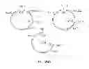 Fig. 23 - Vectors for directional cloning