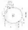 Fig. 28 - Vectors for directional cloning