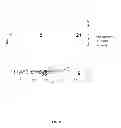 Fig. 03 - Assays for detecting neutralizing autoantibodies to biologic therapy