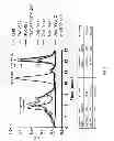Fig. 09 - Assays for detecting neutralizing autoantibodies to biologic therapy