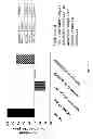 Fig. 12 - Assays for detecting neutralizing autoantibodies to biologic therapy