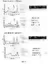 Fig. 22 - Assays for detecting neutralizing autoantibodies to biologic therapy