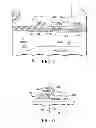Fig. 04 - Customized shield plate for a field effect transistor