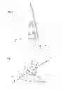 Fig. 04 - Paddle device and water vehicle