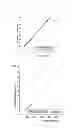Fig. 02 - COMPOSITE SHEET AND DISPLAY SUBSTRATE USING SAME