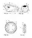 Fig. 22 - Kit for constructing a play structure