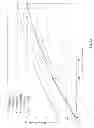 Fig. 10 - Mechanism for interference mitigation in short-range communication PICO networks