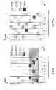 Fig. 14 - Mechanism for interference mitigation in short-range communication PICO networks
