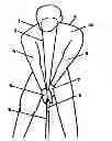 Fig. 01 - Golf swing training device