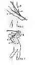 Fig. 04 - Golf swing training device