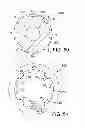 Fig. 23 - GOLF CLUB