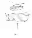 Fig. 20 - Golf club head with removable component