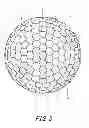 Fig. 04 - Golf ball