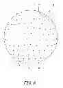 Fig. 07 - Golf ball