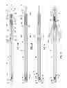 Fig. 02 - Ballistic arrow