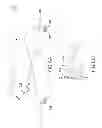 Fig. 08 - EXERCISE DEVICE