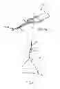 Fig. 42 - Reformer exercise apparatus