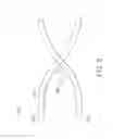 Fig. 09 - Method And Apparatus For Forming Discrete Adjustable Pant-Like Disposable Undergarments