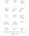 Fig. 02 - Nucleic Acid Labeling Compounds
