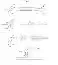 Fig. 09 - Nucleic Acid Labeling Compounds