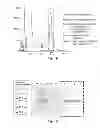 Fig. 06 - METHODS AND COMPOSITIONS FOR CELL-PROLIFERATION-RELATED DISORDERS