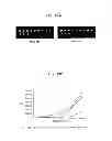 Fig. 20 - Antibody-based arrays for detecting multiple signal transducers in rare circulating cells