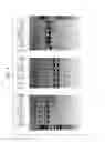 Fig. 05 - Ligation enhancement