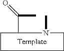 Fig. 04 - Template-fixed peptidomimetics with antimicrobial activity