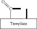 Fig. 46 - Template-fixed peptidomimetics with antimicrobial activity