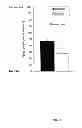 Fig. 19 - Transdermal Pharmaceutical Delivery Composition