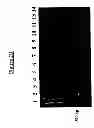 Fig. 05 - NOVEL RECEPTOR NUCLEIC ACIDS AND POLYPEPTIDES