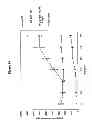 Fig. 23 - NOVEL RECEPTOR NUCLEIC ACIDS AND POLYPEPTIDES