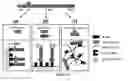 Fig. 12 - Affinity-based controlled release system
