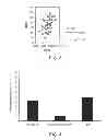 Fig. 04 - Predicting and treating diabetic complications