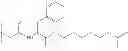Fig. 96 - SUBSTITUTED ANIONIC COMPOUNDS CONSISTING OF A BACKBONE MADE UP OF A DISCRETE NUMBER OF SACCHARIDE UNITS