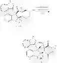 Fig. 366 - Substituted pyrazino[1′,2′:1 ,5]pyrrolo[2,3-b]-indole-1,4-diones for cancer treatment