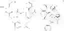 Fig. 07 - Targeted Conjugates Encapsulated in Particles and Formulations Thereof