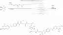 Fig. 41 - Targeted Conjugates Encapsulated in Particles and Formulations Thereof