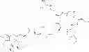 Fig. 46 - Targeted Conjugates Encapsulated in Particles and Formulations Thereof