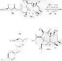 Fig. 48 - Targeted Conjugates Encapsulated in Particles and Formulations Thereof