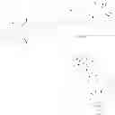 Fig. 50 - Targeted Conjugates Encapsulated in Particles and Formulations Thereof