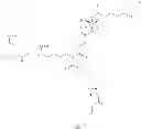 Fig. 63 - Targeted Conjugates Encapsulated in Particles and Formulations Thereof