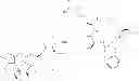Fig. 64 - Targeted Conjugates Encapsulated in Particles and Formulations Thereof