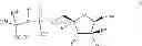 Fig. 02 - Nucleoside phosphoramidate prodrugs