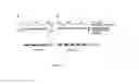 Fig. 06 - PHARMACEUTICAL COMPOSITIONS FOR THE TREATMENT OF CONDITIONS RESPONSIVE TO PROTEASOME INHIBITION