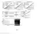 Fig. 08 - PHARMACEUTICAL COMPOSITIONS FOR THE TREATMENT OF CONDITIONS RESPONSIVE TO PROTEASOME INHIBITION