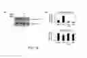 Fig. 19 - PHARMACEUTICAL COMPOSITIONS FOR THE TREATMENT OF CONDITIONS RESPONSIVE TO PROTEASOME INHIBITION